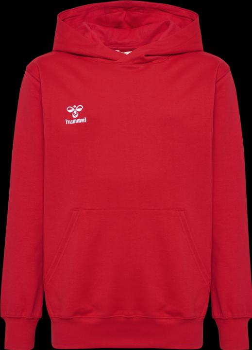 Actual product image hummel HMLGO 2.0 HOODIE KIDS (116)