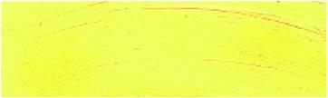 Actual product image Rembrandt OIL PAINT T9 208 (Cadmium Yellow Light, 40 ml)