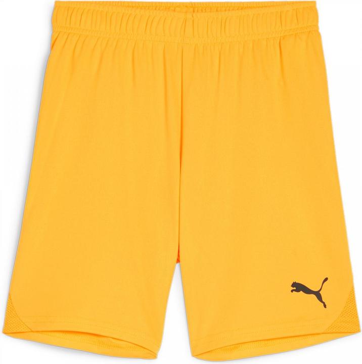 Image du produit Puma teamGOAL Short Jr (128)