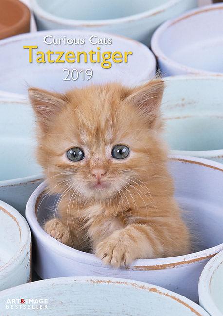 Immagine prodotto Calendario da parete Tatzentiger 2019 (Tedesco, Inglese)