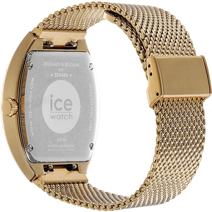 Image du produit ICE Watch Ice Boliday Dome White Gold (35 mm)