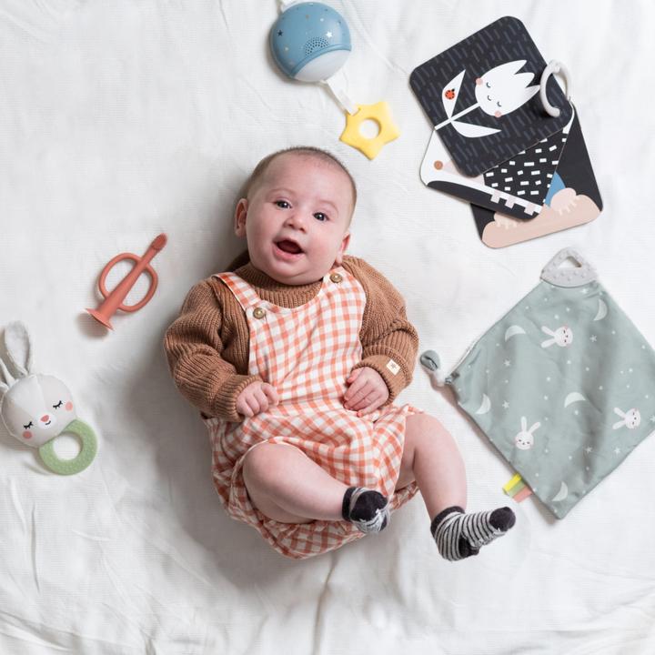 Actual product image Taf Toys Hello Baby