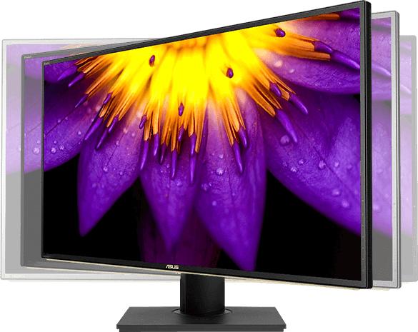 Actual product image ASUS ProArt PA329C 81.28 cm (16:9) UHD HDMI DP (3840 x 2160 Pixels, 32")