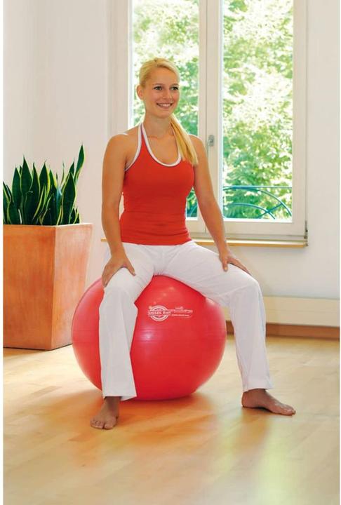 Image du produit Sissel Boule (55 cm)