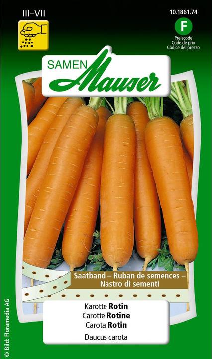 Samen Mauser Nastro di semi di carota Rotin (Semi di verdura)