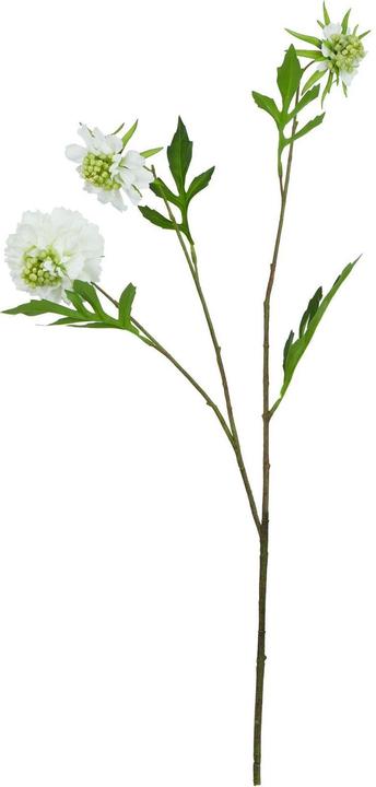 Immagine prodotto Hill Interiors The Natural Garden Collection Gambo di Scabiosa Pianta artificiale (65 cm)