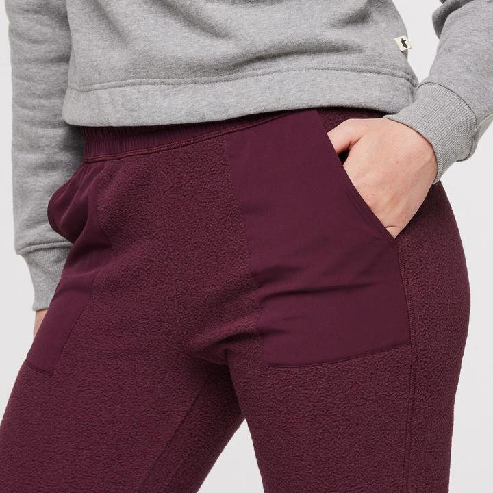 Produktbild Cotopaxi Abrazo Fleece Jogger (L)