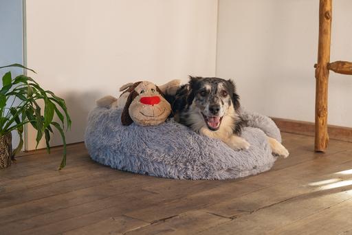 Produktbild Beeztees Joep (Plüschspielzeug Hund)