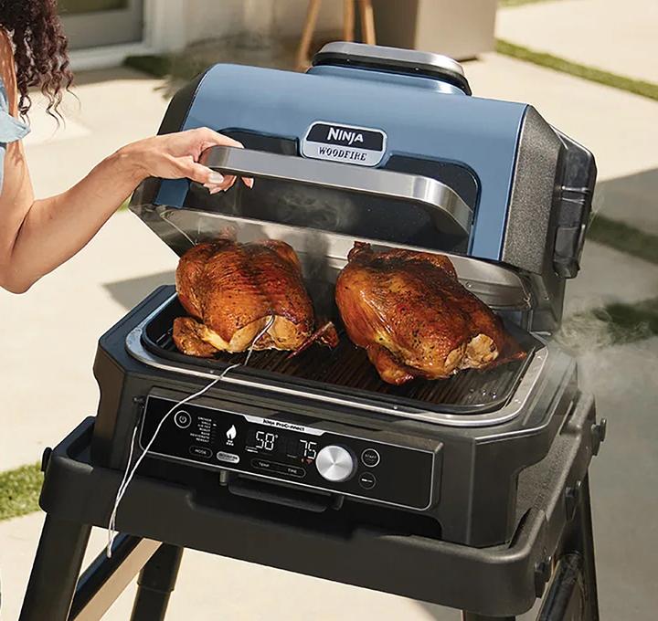 Image du produit Ninja Woodfire Pro Connect XL (1.70 kW)