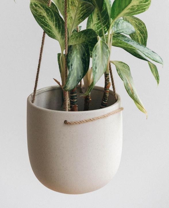 Image du produit Esmée Pot suspendu (18 cm)