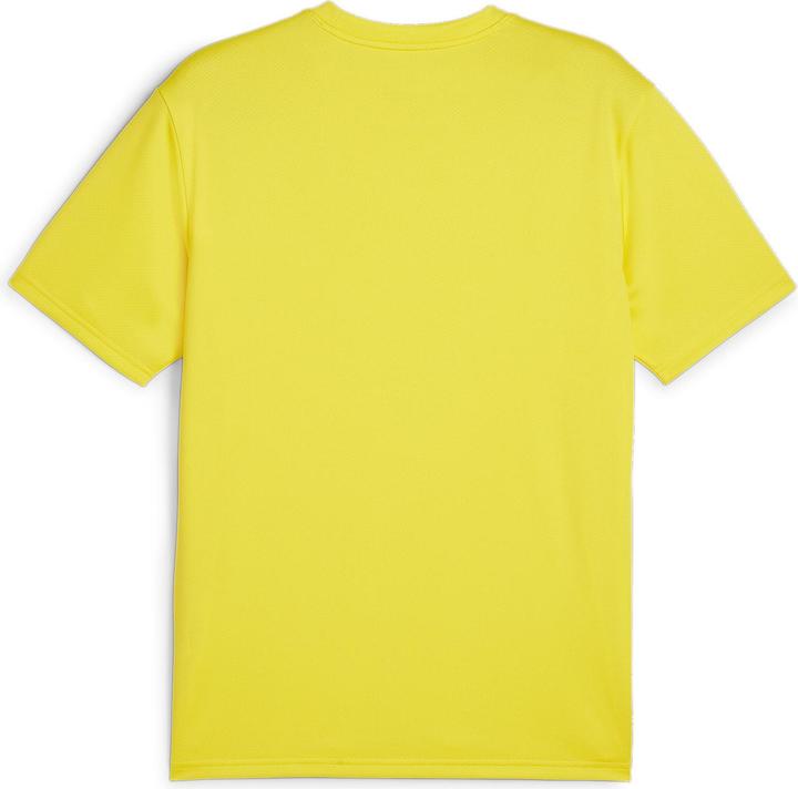 Actual product image Puma teamGOAL Jersey (3XL)