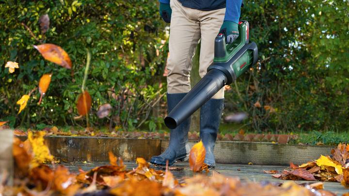 Produktbild Bosch Home & Garden AdvancedLeafBlower 36V-750 (Akkubetrieb, Laubbläser)