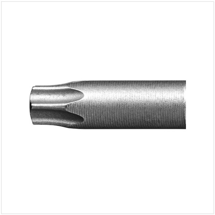 Actual product image Festool Bit TX 20-100 CE/2 (TX20)