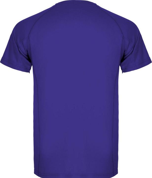 Actual product image Alpinia Mens Montecarlo Short-Sleeved Sports T-Shirt (M)