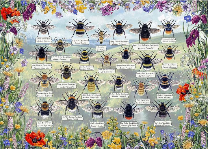 Produktbild Gibsons Puzzle Brillante Bienen 1000 Teile (1000 Teile)