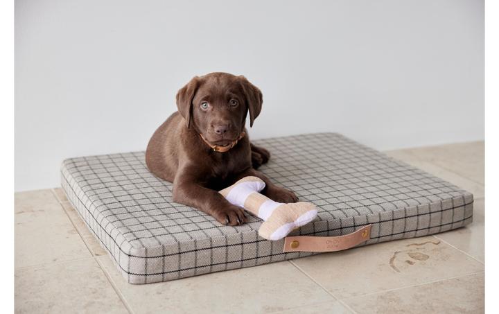 Actual product image Oyoy Milo (Dog)