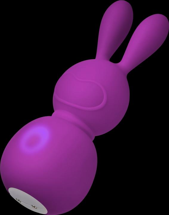 Image du produit Femme Funn Bunny Massager