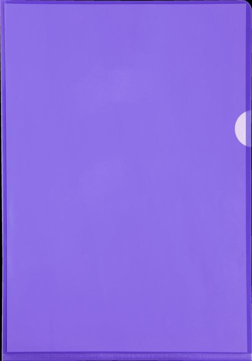 Exacompta Aktensichthüllen (A4, 10 x)
