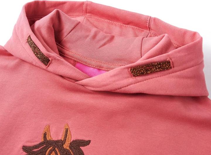 Image du produit VidaXL Sweat à capuche enfant vieux rose 128,Composition : 95% Coton (128)