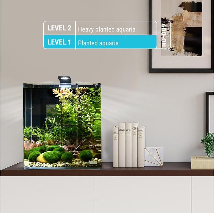 Image du produit Dennerle Elixir pour plantes Basic (Entretien des plantes d'aquarium)