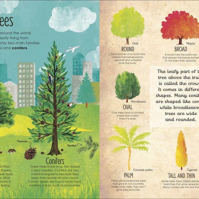 Produktbild RHS The Magic and Mystery of Trees (Englisch, Jen Green, Claire McElfatrick, 2019)