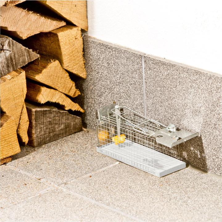 Image du produit Windhager Piège à rats à boîte métallique 29,5x10,5x12,5cm
