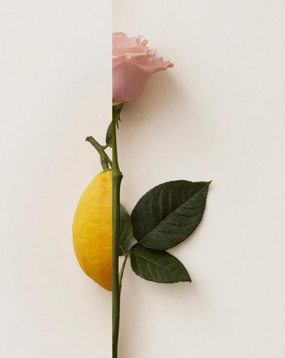 Produktbild New Notes Rosa Limone (Eau de Parfum, 50 ml)