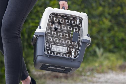 Produktbild Karlie Nomad (Hund, Katze, Abschliessbar)