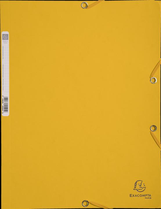 Produktbild Exacompta Sammelmappe mit Gummizug (A4, 1 x)