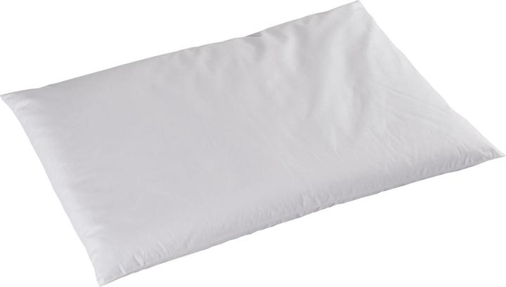 Actual product image DOR Pillow Alivia Nature Millet (40 x 60 cm)