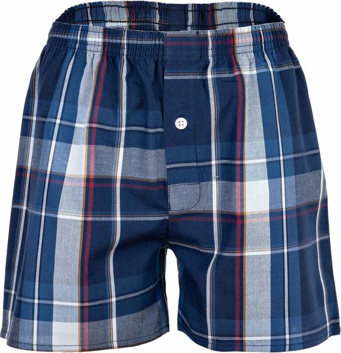 Image du produit Your Basics Boxers tissés Casual Coupe ample (188, paquet de 7)