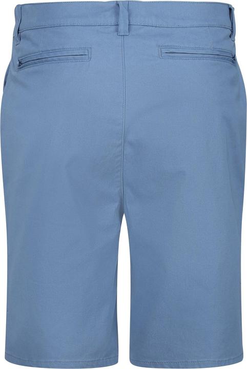 Actual product image Regatta Mens Sabden Chino Shorts (40)