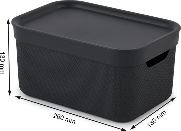 Image du produit Rotho Jive (26 x 18 x 13 cm, 5 l)