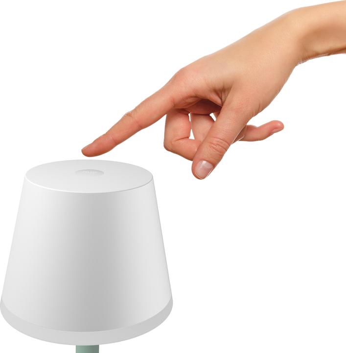 Actual product image Philips Hue Go (370 lm)