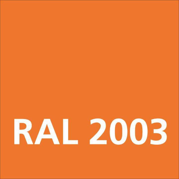 Immagine prodotto Dupli-Color Vernice acrilica lucida RAL 2003 pastello arancione pastello RAL 2003 (Arancione pastello, 0.40 l)