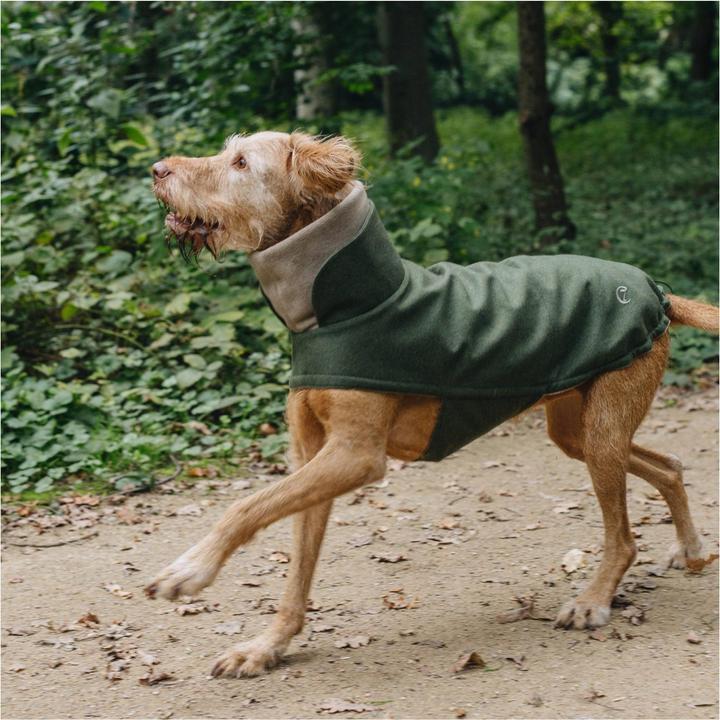 Actual product image Cloud 7 Dog Coat Brooklyn (4, Dog coat)