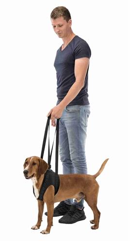 Immagine prodotto Trixie Aiuto per camminare (Cane)