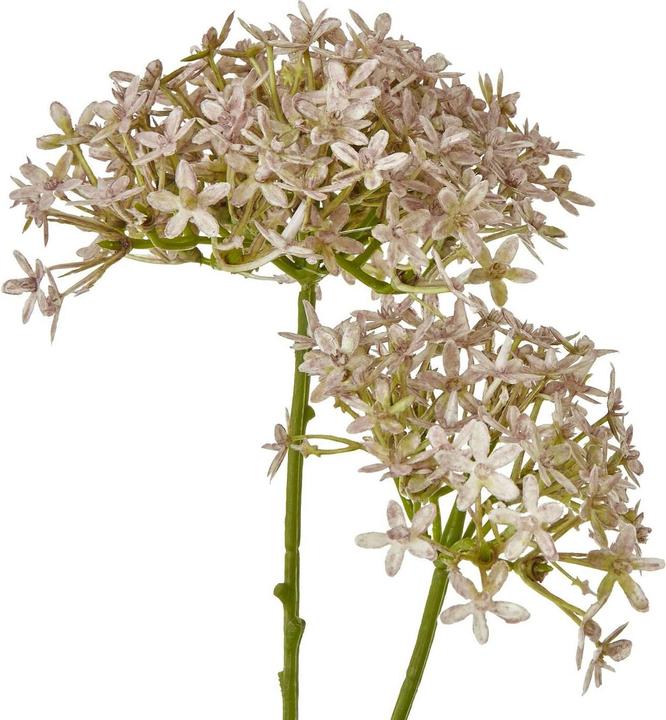 Immagine prodotto Hill Interiors Ortensia Fiore Artificiale (71 cm)