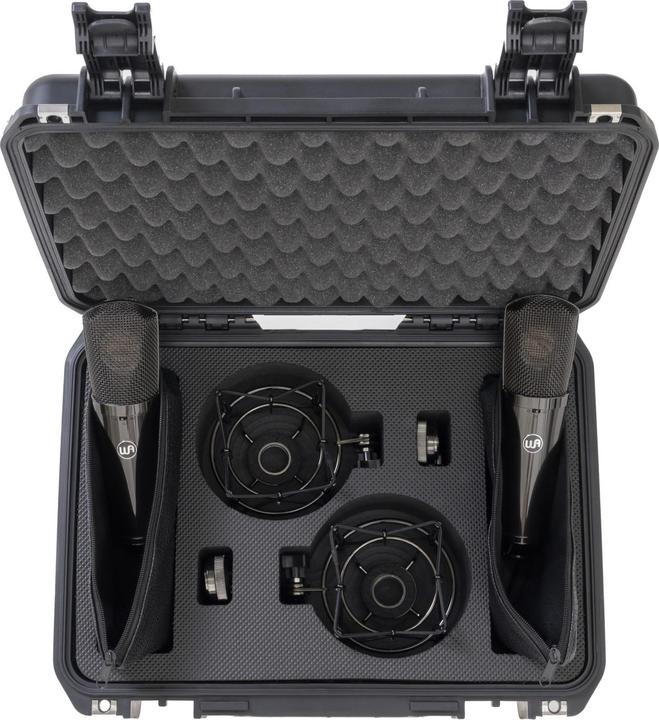 Image du produit Warm Audio WA-87 R2 TS - Paire stéréo en titane en édition limitée