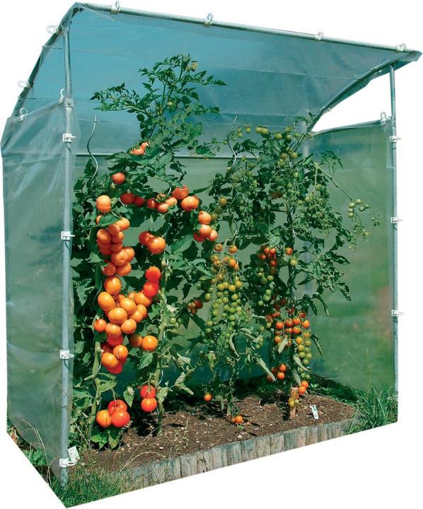 Image du produit Neogard Store pour abri à tomates
