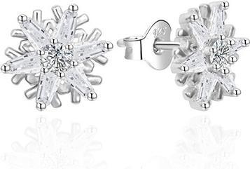Produktbild Agato - Sparkling silver earrings Snowflakes AGT-E007PW