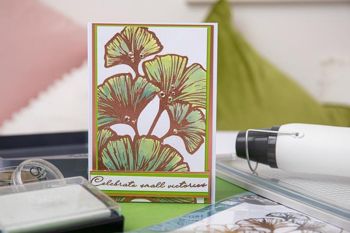 Actual product image Sizzix Clear Stamps Set 4 PK - Cosmopolitan, Inspire by Stacey Park