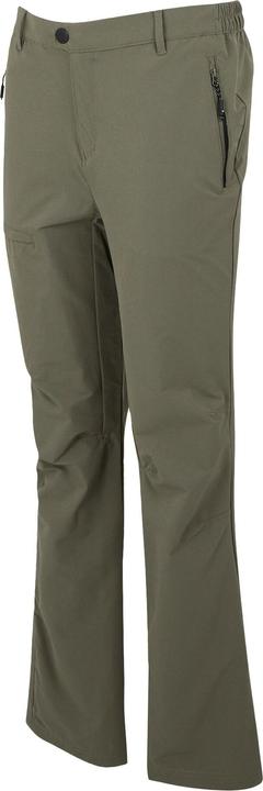 Actual product image Regatta Mens Highton II Hiking Trousers (42)