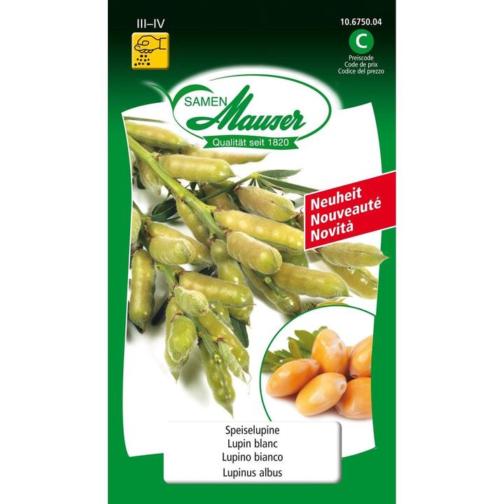 Actual product image Samen Mauser Seed food lupine (Seedlings)