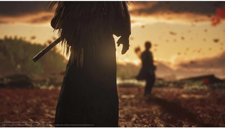 Actual product image Sony Ghost of Tsushima Director’s Cut (PS4, Multilingual)