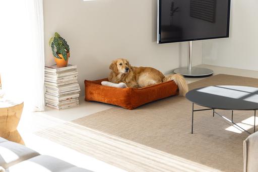 Produktbild Designed by Lotte Ribbed (Hund)