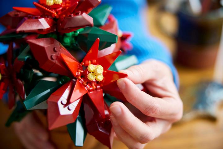 Actual product image LEGO Poinsettia (10370, LEGO Icons)