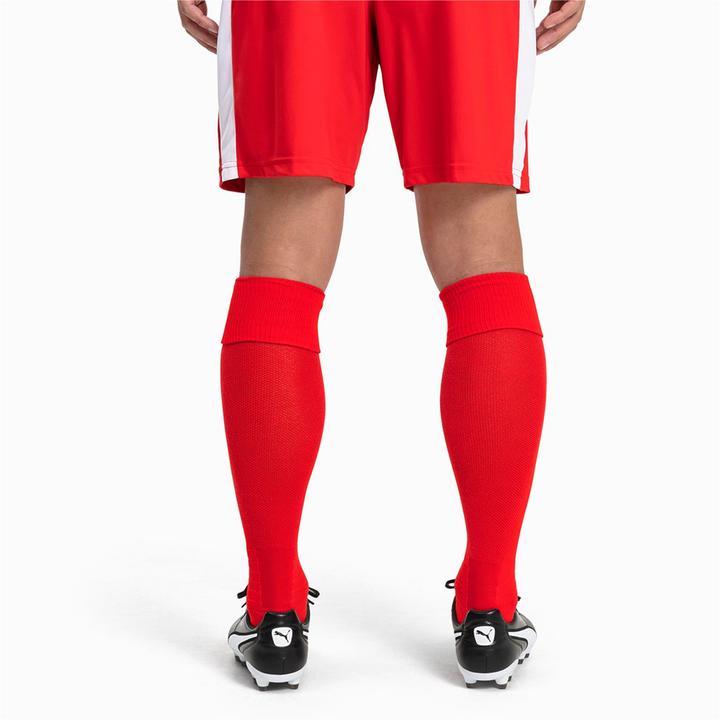 Actual product image Puma Team LIGA Socks-703438 (43, 46)