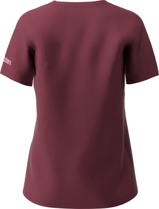 Actual product image Zimtstern Stellaz (S)