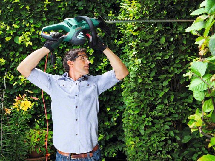Immagine prodotto Bosch Home & Garden Taglio avanzato della siepe (Tagliasiepi a batteria)